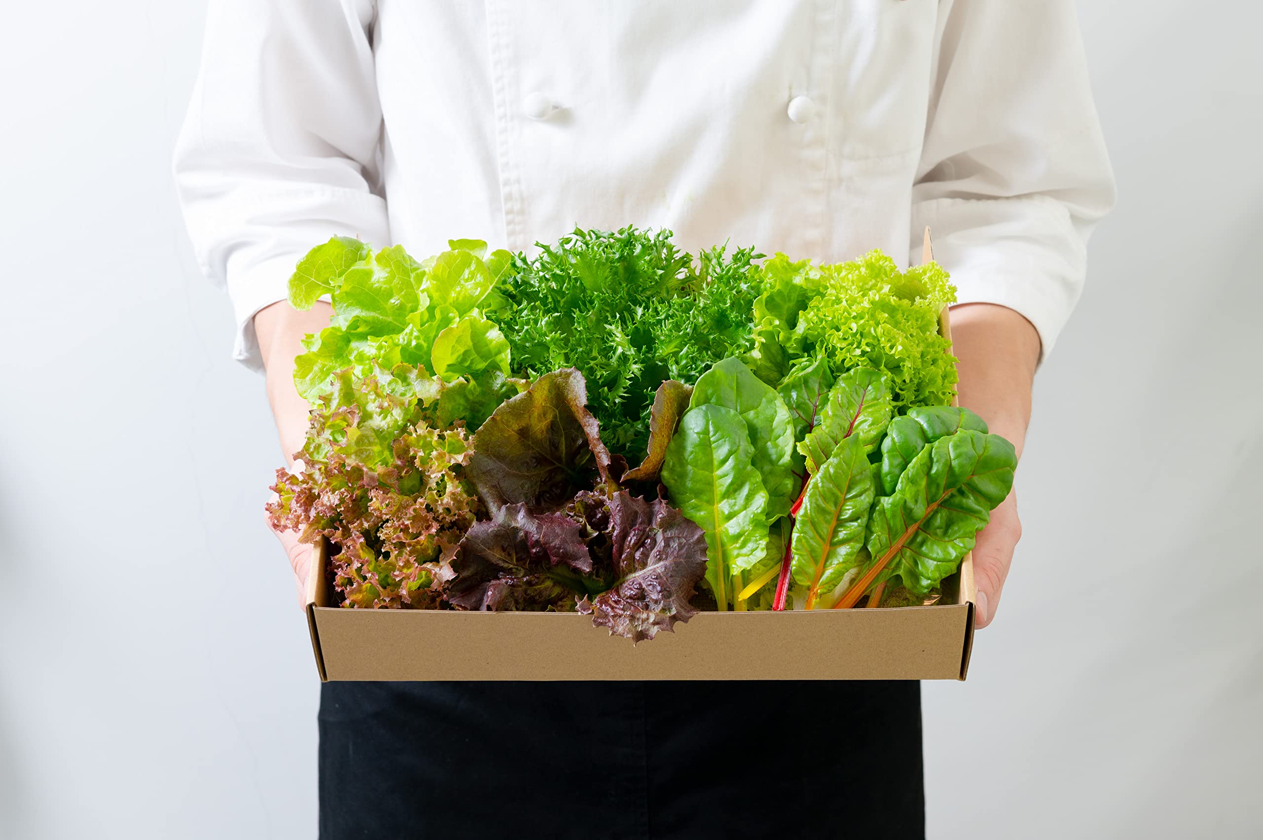 Amazon.co.jp: 無農薬 常備野菜5種詰め合わせ 野菜 高級 サラダ Amazon.co.jp: 無農薬 常備野菜5種詰め合わせ 野菜 高級 サラダ
